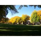 Fort Collins: : The oval of CSU while the leaves are changing