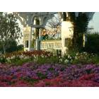 Carlsbad: Carlsbad Flower Fields