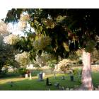 Utica: Forest Hill Cemetery