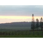 Lanai City: Koele Stables at Sunset