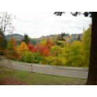 Portland: Fall at Hoyt Arboretum