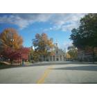 Whitmire: fall in whitmire