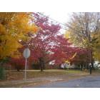 Whitmire: Turning on to Church street. Fall in Whitmire