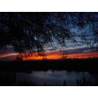 Palo Verde: Sunrise over the Lagoon