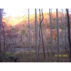 Murphy: fall pic