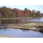 Muskegon: Duck Lake in the Fall