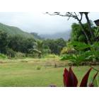 Makaha Valley: Makaha Valley, Oahu