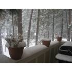 Bend: deck of snow