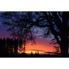 Hillsboro: Amazing sunset view from Padgett Rd in Hillsboro