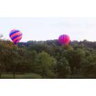 Pottstown: Hot Air Balloons Overhead