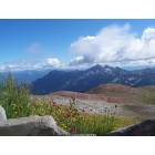Mount Rainier: Mt. Rainier Aug '08
