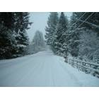 Butte Falls-Prospect: Down the Road in Prospect