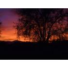 Apple Valley: : sunset in apple valley, ca