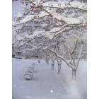 St. Albans: Snowy Taylor Park