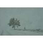 Lancaster: Snow and the Joshua Tree