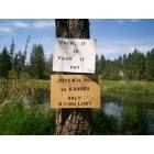 Garfield: Garfield Fish Pond