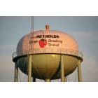 Reynolds: Water Tank Reynolds GA