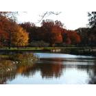 Roselle: Beautiful fall colors in Warinanco park in Roselle in NJ