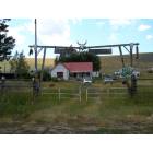 Spencer: Weed patch plantation in Spencer Idaho