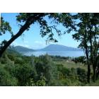 Clearlake: Clear Lake from above Lucerne/Nice area