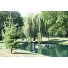 Lowell: Peaceful Pond-Lowell Park Dist.