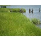Poquoson: Amory's Wharf