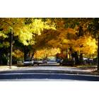 Moscow: : Quiet autumn morning in a residential neighborhood of Moscow, ID