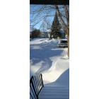 Albert Lea: : A recent snowfall outside my door on So First Ave. in Albert Lea, Mn.