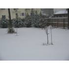 Sneads Ferry: snow in sneads ferry!