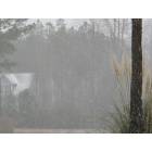 Sneads Ferry: snow in sneads ferry!?