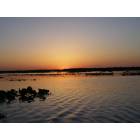 Gainesville: : Sunset picture taken from boat on flooded Paynes Prairie