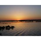 Gainesville: Sunset picture taken from boat on flooded Paynes Prairie