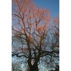 Fort Atkinson: that golden pink light marking the end of a winter day