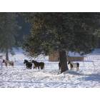Winthrop: Winthrop country side