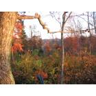 Edmonton: Red Lick Ranch, Edmonton, KY located on the Red Lick Creek