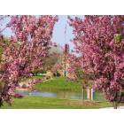 Monticello: Spring