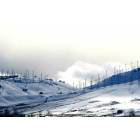Tehachapi: : turbines in the snow