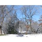 St. Charles: : Winter, Delnor Woods