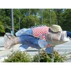 Anderson: downtown fish