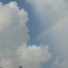 Cape Coral: Backyard  rainbow