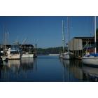 Olympia: One of the many marinas in Olympia