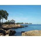 Larchmont: Manor Park in the summer