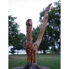 Richland: Tree Carving in Howard Amond park