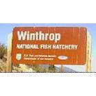 Winthrop: Withrop has a National Fish Hatchery
