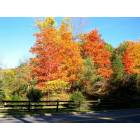 Pepper Pike: My Favorite Fall Corner, S. Woodland and Pinetree Rd