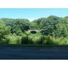 Youngstown: Bridge in Mill Creek Park