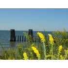 Cape Charles: Cape Charles..Beautiful from every angle