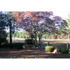 Whispering Pines: A Dog's Eye View of the Whispering Pines Championship Golf Course