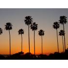 Newport Beach: View from Fashion Island
