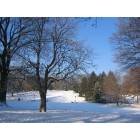 New York: : Winter in Central Park